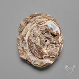 Desert Jasper Druzy