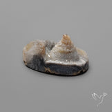Desert Jasper Druzy