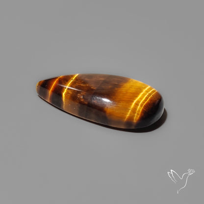 Tiger Eye Cabochon