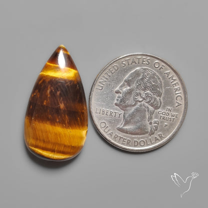 Tiger Eye Cabochon