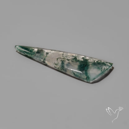 Moss Agate Cabochon