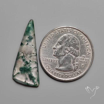 Moss Agate Cabochon