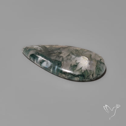Moss Agate Cabochon