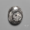 Orthoceras Fossil Cabochon
