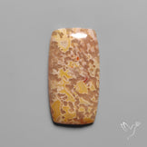 Smuggler Cove Moss Agate Cabochon