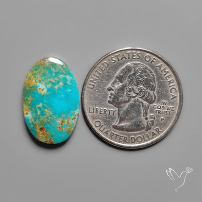 Kingman Turquoise Cabochon