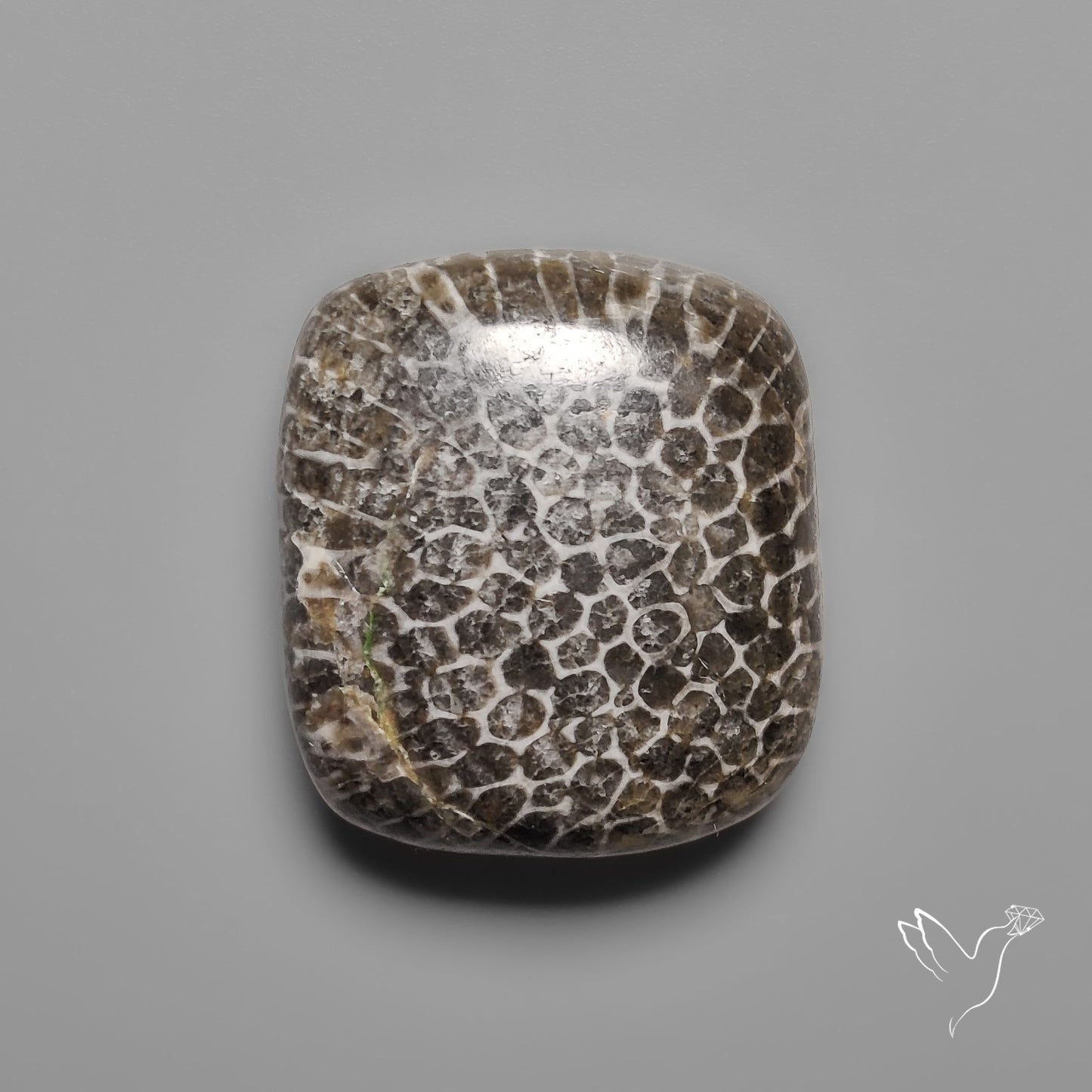 Black Fossil Coral Cabochon