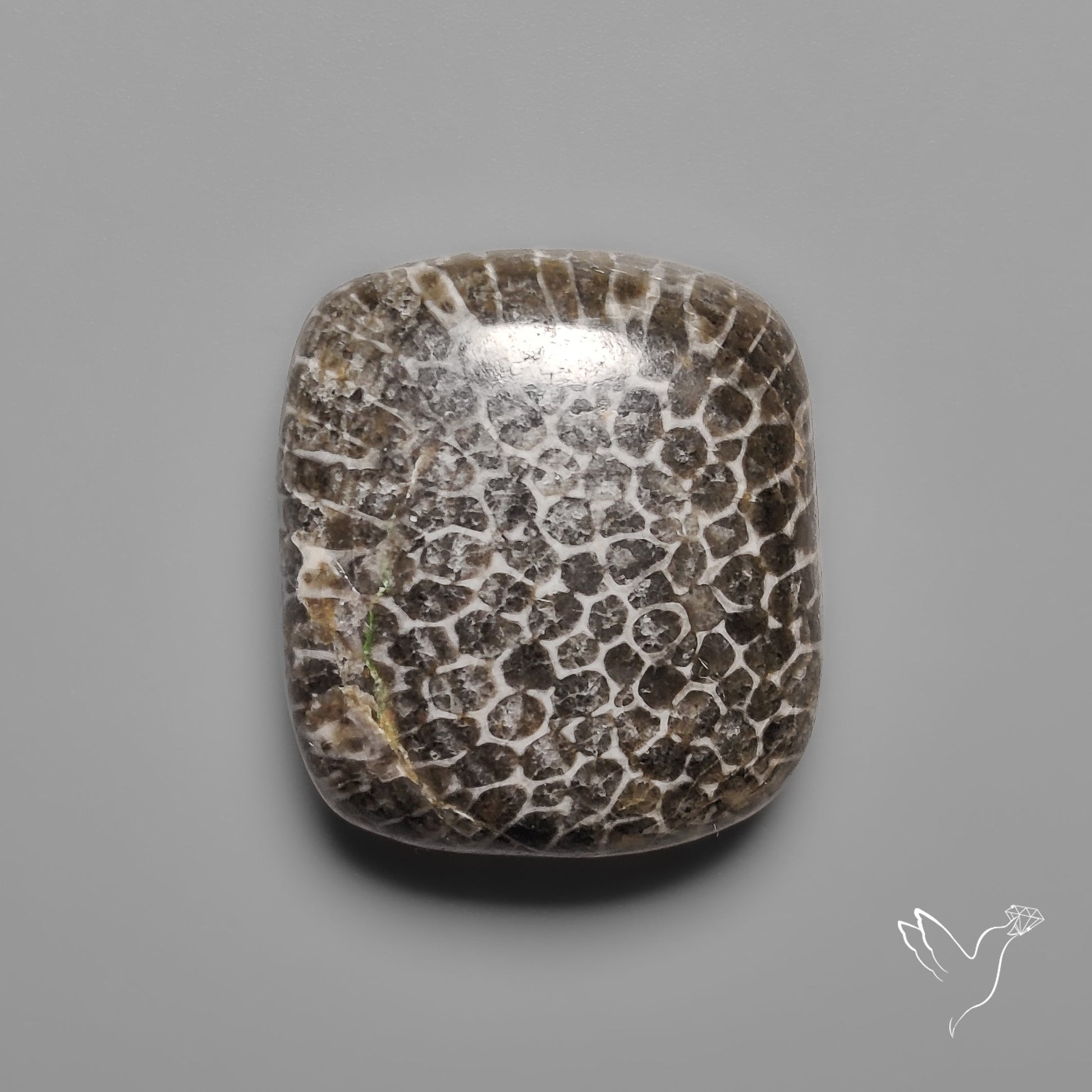 Black Fossil Coral Cabochon