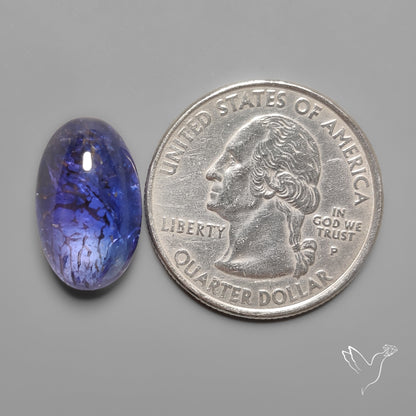 Tanzanite High Grade Gemmy Cabochon