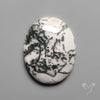 Tree Agate Cabochon