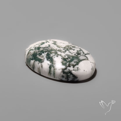 Tree Agate Cabochon