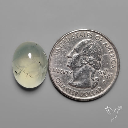 Black Tourmalinated Prehnite Cabochon