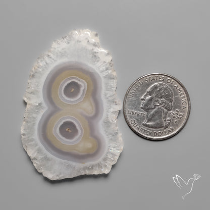 Solar Quartz Druzy Slice