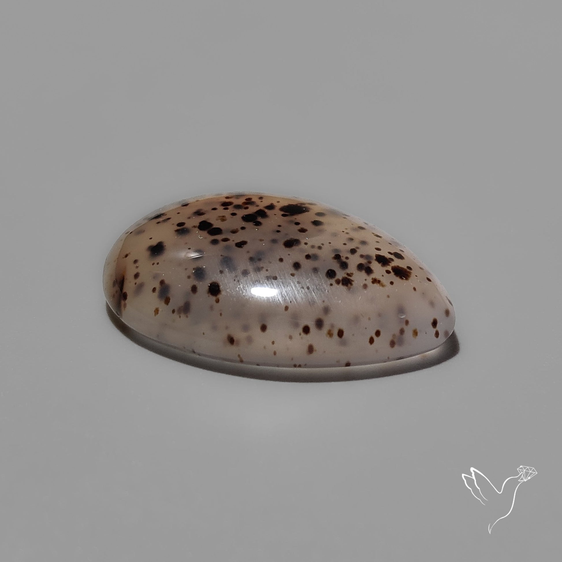 Montana Moss Agate Cabochon