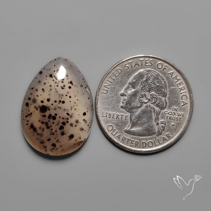 Montana Moss Agate Cabochon