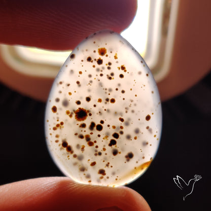 Montana Moss Agate Cabochon