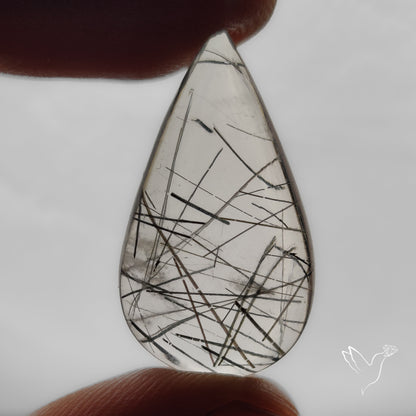 Black Tourmalinated Quartz Cabochon