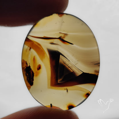 Montana Agate Cabochon