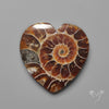 Ammonite Heart