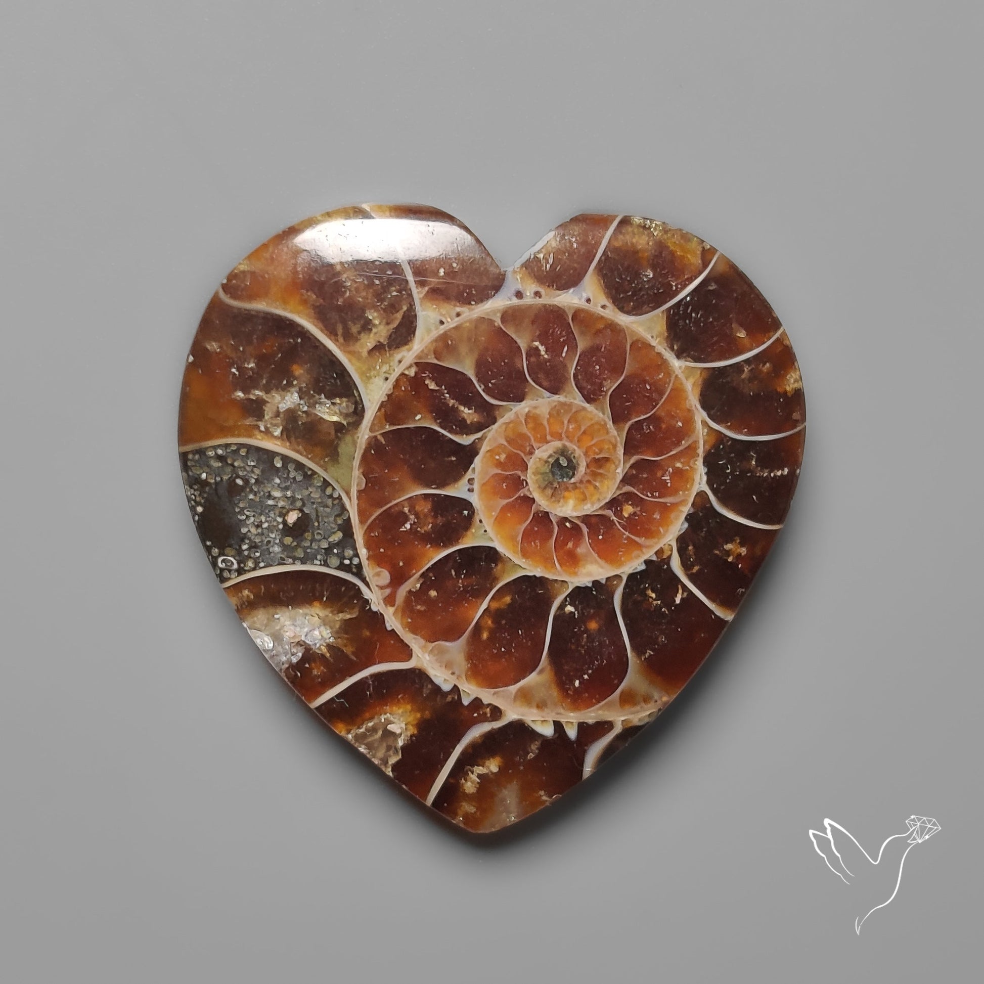 Ammonite Heart