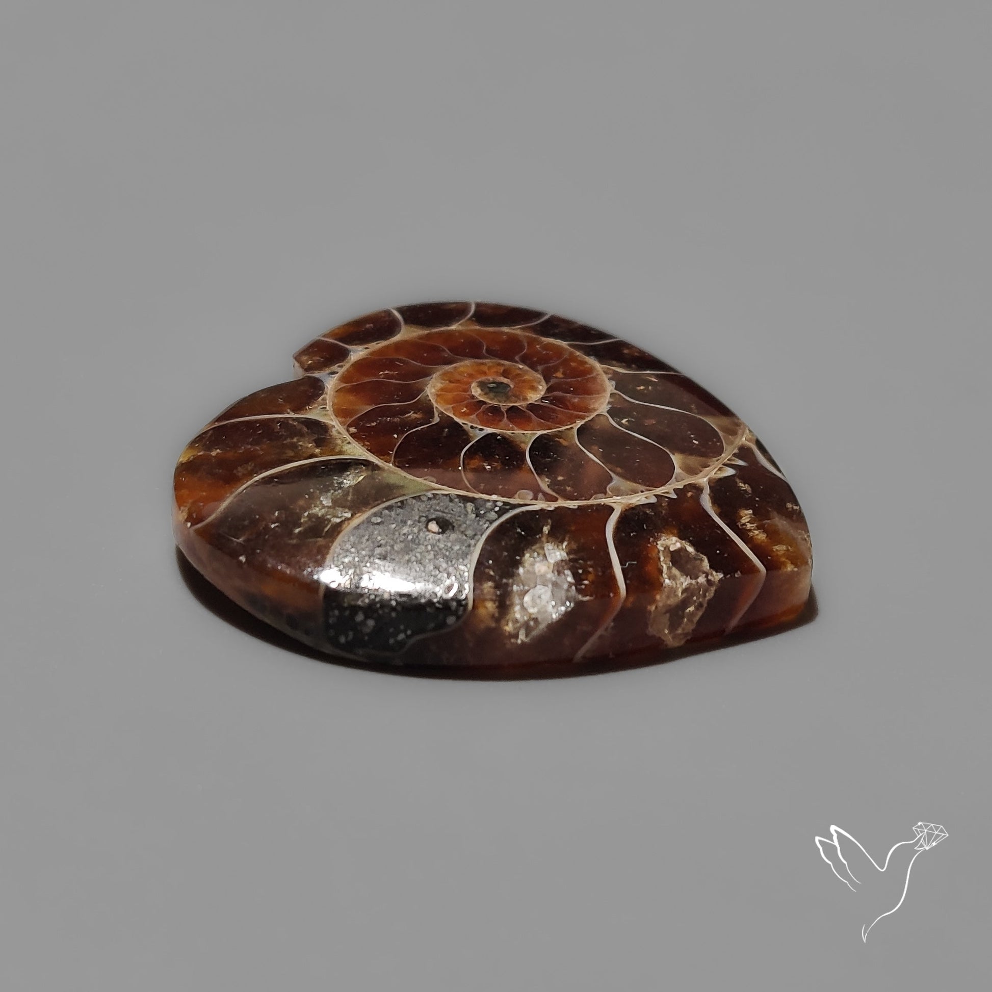 Ammonite Heart