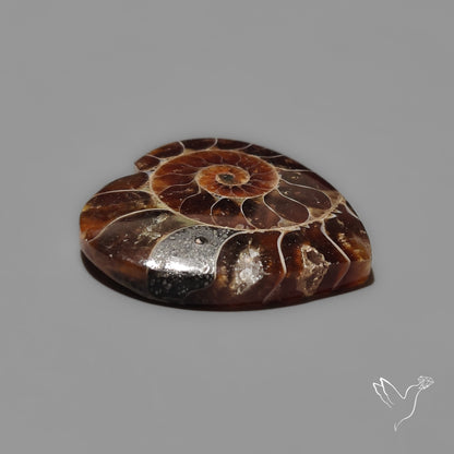 Ammonite Heart