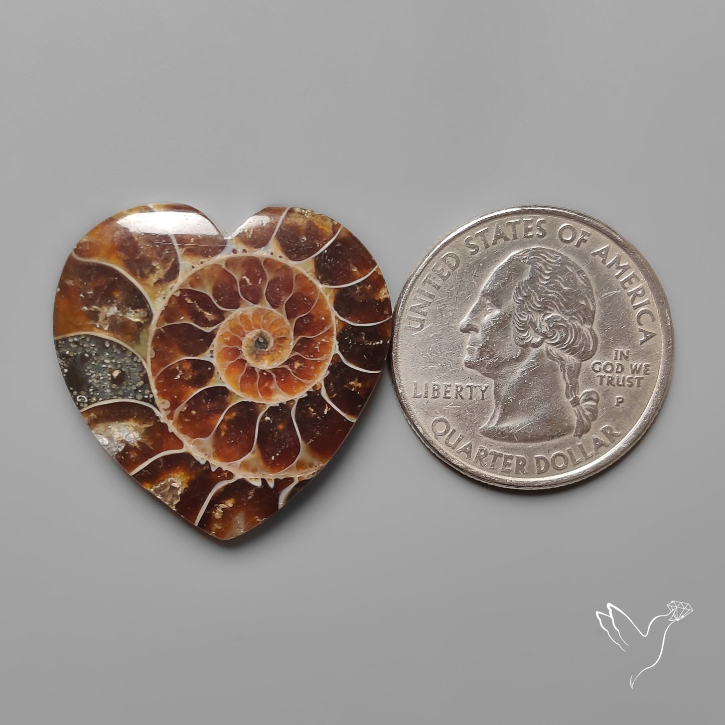 Ammonite Heart