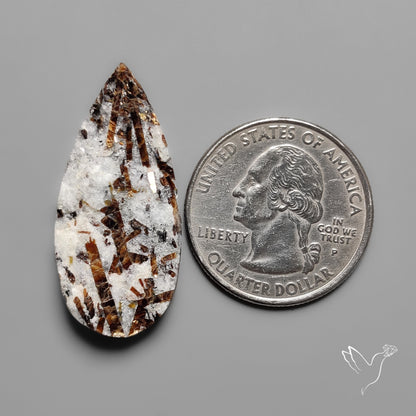 Raw Face Astrophyllite