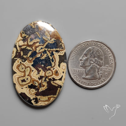 Schalenblende Cabochon