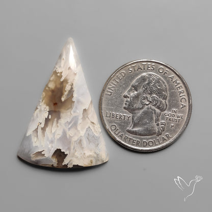 Northridge Plume Agate Cabochon