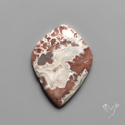 Sangria Lace Agate Crazylace Agate Cabochon