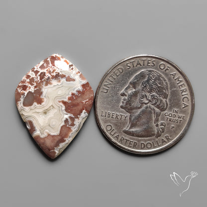 Sangria Lace Agate Crazylace Agate Cabochon