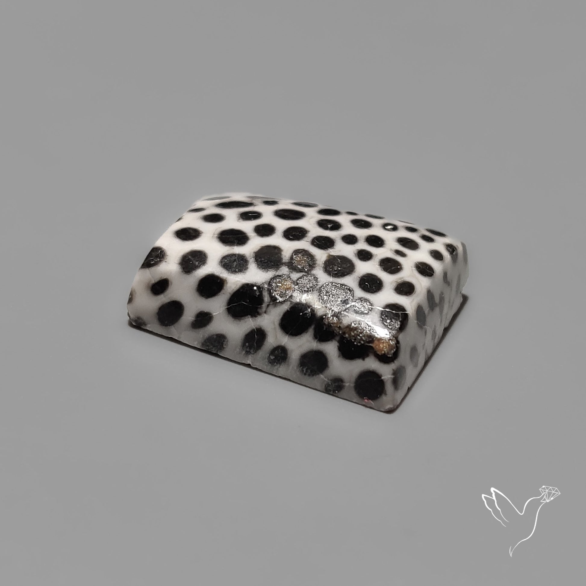 Black Fossil Coral Cabochon