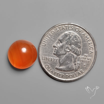 Carnelian Agate Cabochon
