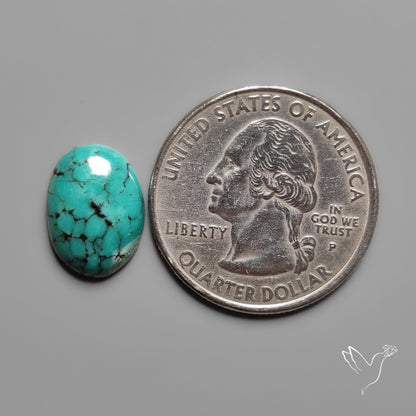 Hubei Turquoise Cabochon