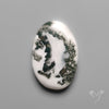 Tree Agate Cabochon