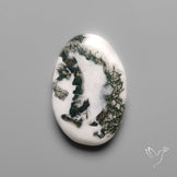 Tree Agate Cabochon