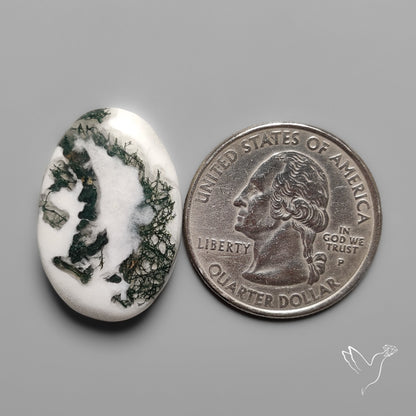 Tree Agate Cabochon