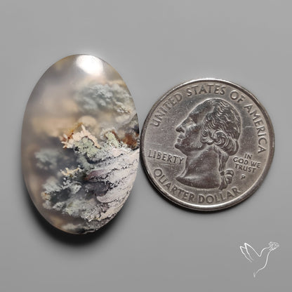 Indonesian Moss Agate Cabochon
