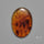 Amber Cabochon