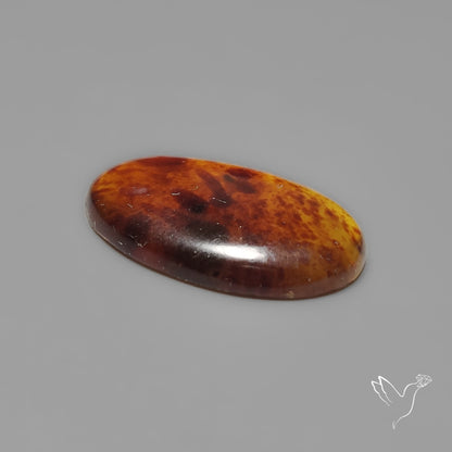 Amber Cabochon
