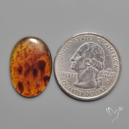 Amber Cabochon