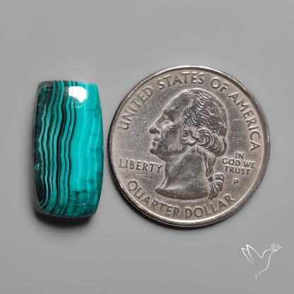 Malachite Cabochon