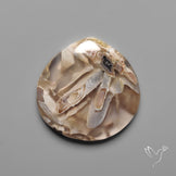 Turkish Tube Agate Cabochon
