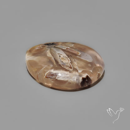 Turkish Tube Agate Cabochon