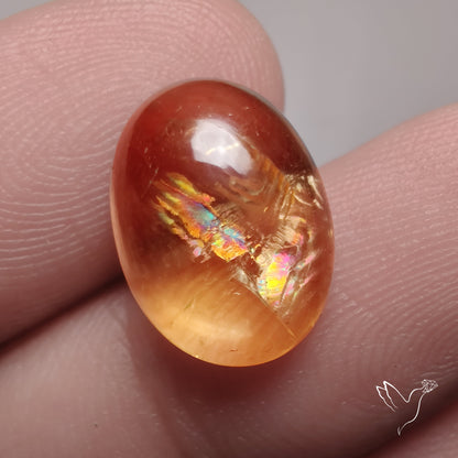 Citrine Cabochon