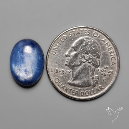 Flashy Blue Kyanite Cabochon