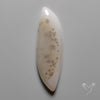 Scenic Agate Cabochon