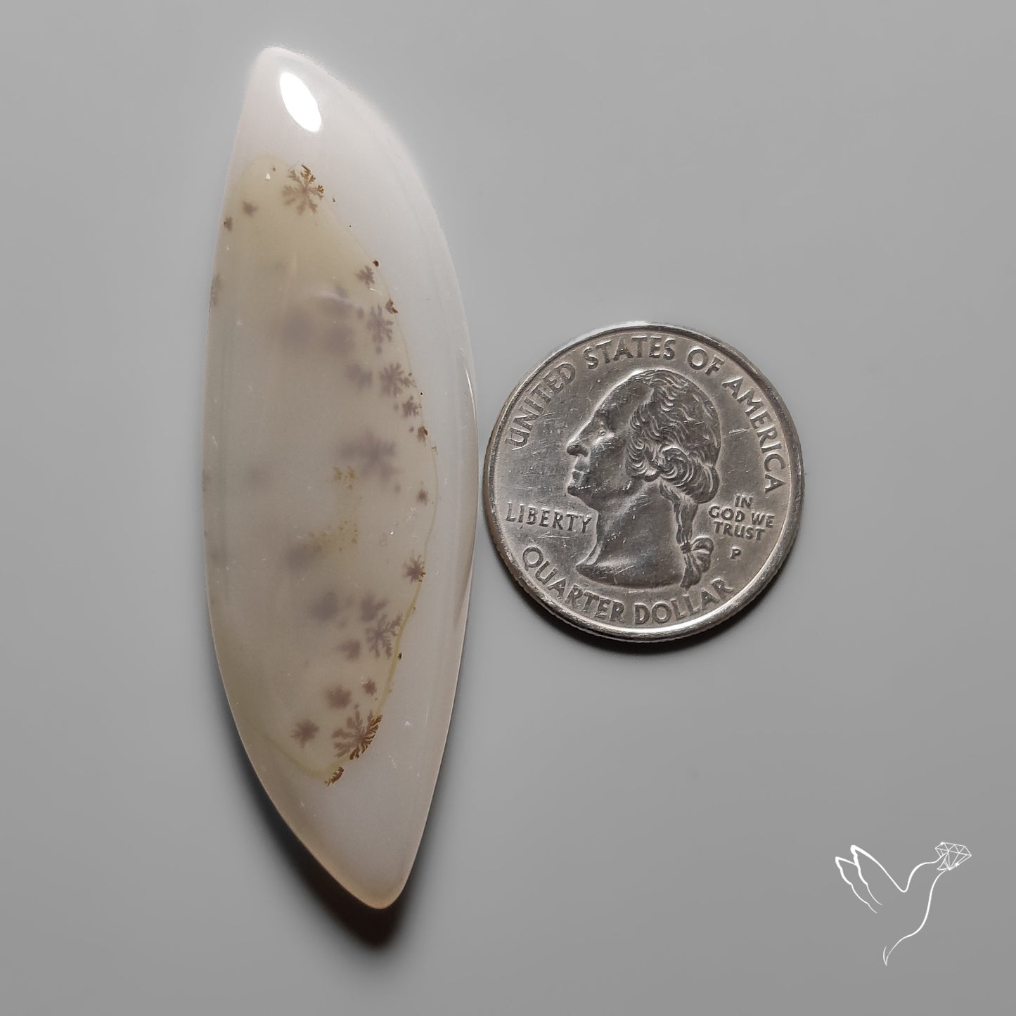 Scenic Agate Cabochon