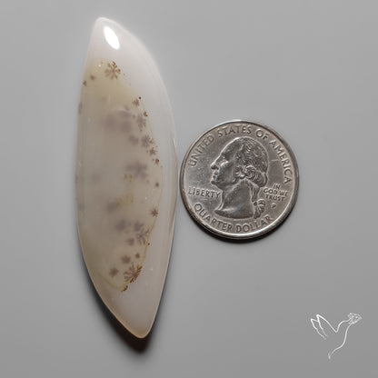 Scenic Agate Cabochon